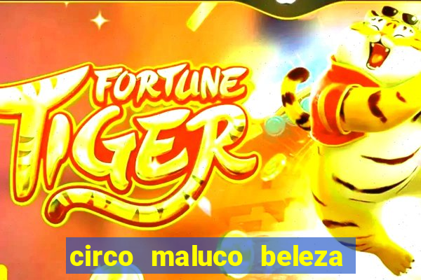 circo maluco beleza recife circo maluco